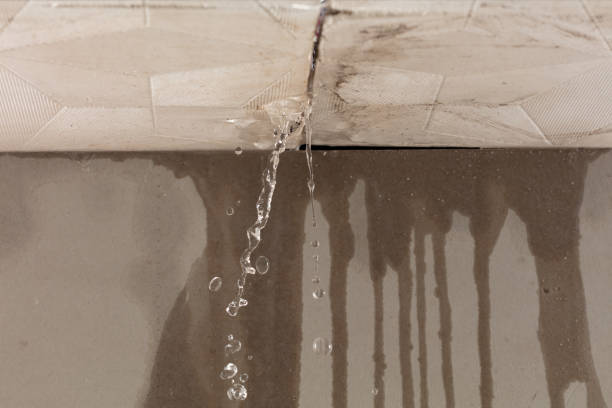 Professional Sewage Cleanup technician working in Whitelaw, WI